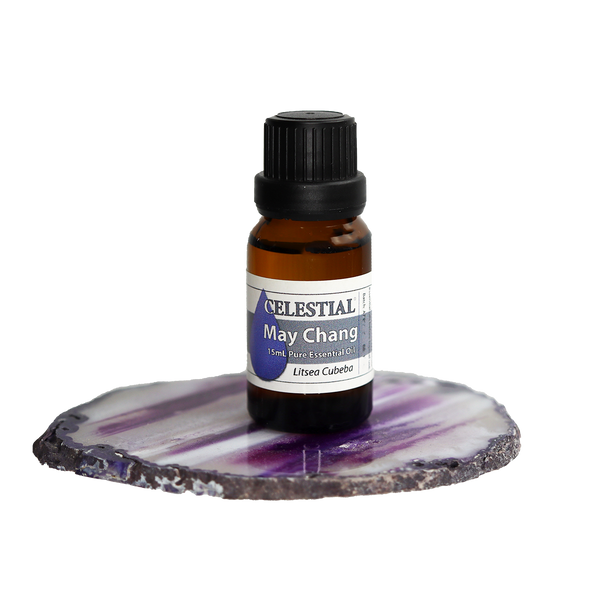 CELESTIAL ® LITSEA CUBEBA ~ MAY CHANG NATURAL ESSENTIAL OIL ~ WELL BEING